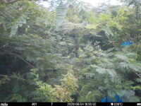 Aug 4 2025 18:00:32, #01