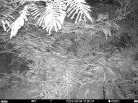 Aug 4 2025 21:00:31, #01