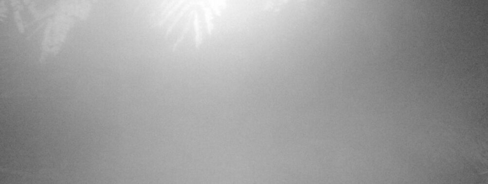 Aug 5 2025  3:00:31, #01
