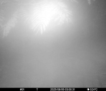 Aug 5 2025  3:00:31, #01