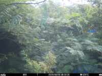 Aug 5 2025  6:00:30, #01