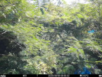 Aug 5 2025  9:00:32, #01