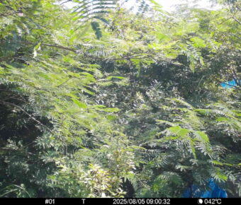 Aug 5 2025  9:00:32, #01