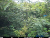 Aug 5 2025 18:00:32, #01