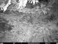 Aug 6 2025  0:00:31, #01