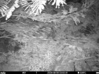 Aug 6 2025  3:00:31, #01