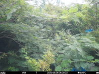 Aug 6 2025  6:00:32, #01