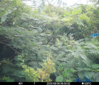 Aug 6 2025  6:00:32, #01