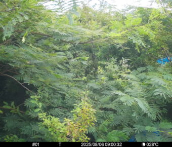 Aug 6 2025  9:00:32, #01