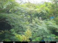Aug 6 2025 12:00:31, #01
