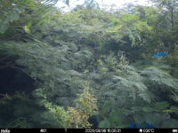Aug 6 2025 15:00:31, #01