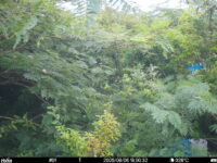 Aug 6 2025 18:00:32, #01