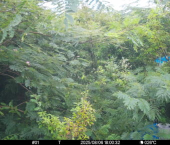 Aug 6 2025 18:00:32, #01