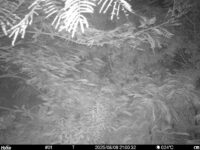 Aug 6 2025 21:00:31, #01