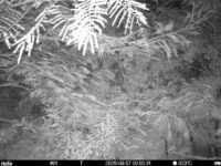 Aug 7 2025  0:00:31, #01