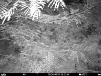 Aug 7 2025  3:00:31, #01