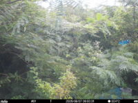 Aug 7 2025  6:00:30, #01