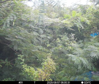 Aug 7 2025  6:00:30, #01