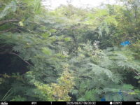 Aug 7 2025  9:00:32, #01