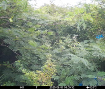 Aug 7 2025  9:00:32, #01