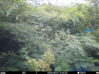 Aug 7 2025 12:00:30, #01