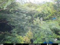 Aug 7 2025 15:00:32, #01