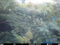 Aug 7 2025 18:00:32, #01
