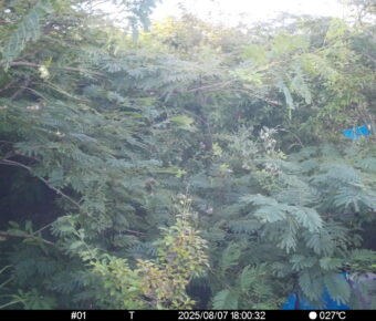 Aug 7 2025 18:00:32, #01