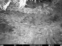Aug 7 2025 21:00:32, #01