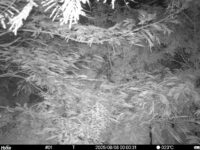 Aug 8 2025  0:00:31, #01