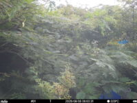 Aug 8 2025  6:00:31, #01