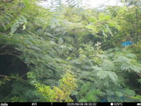 Aug 8 2025  9:00:32, #01