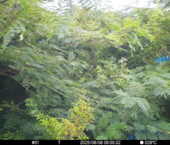 Aug 8 2025  9:00:32, #01