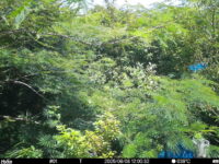 Aug 8 2025 12:00:32, #01
