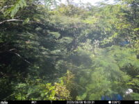 Aug 8 2025 15:00:31, #01