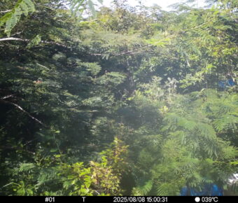 Aug 8 2025 15:00:31, #01
