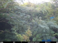 Aug 8 2025 18:00:31, #01