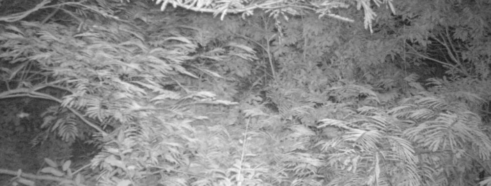 Aug 9 2025  3:00:30, #01