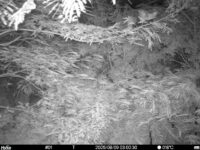 Aug 9 2025  3:00:30, #01
