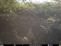 Aug 9 2025  6:00:31, #01