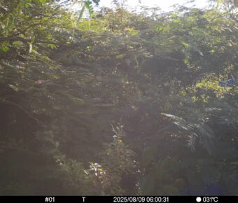 Aug 9 2025  6:00:31, #01