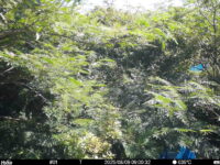 Aug 9 2025  9:00:31, #01