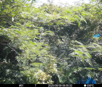 Aug 9 2025  9:00:31, #01