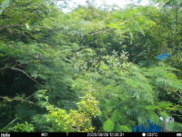 Aug 9 2025 12:00:30, #01