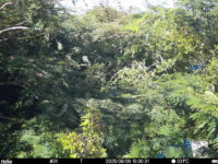 Aug 9 2025 15:00:31, #01