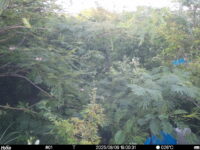 Aug 9 2025 18:00:31, #01