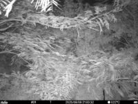 Aug 9 2025 21:00:32, #01