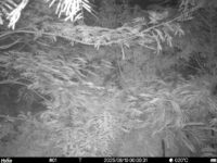 Aug 10 2025  0:00:31, #01