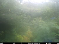 Aug 10 2025  6:00:32, #01