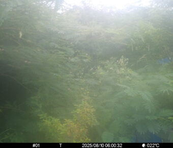 Aug 10 2025  6:00:32, #01